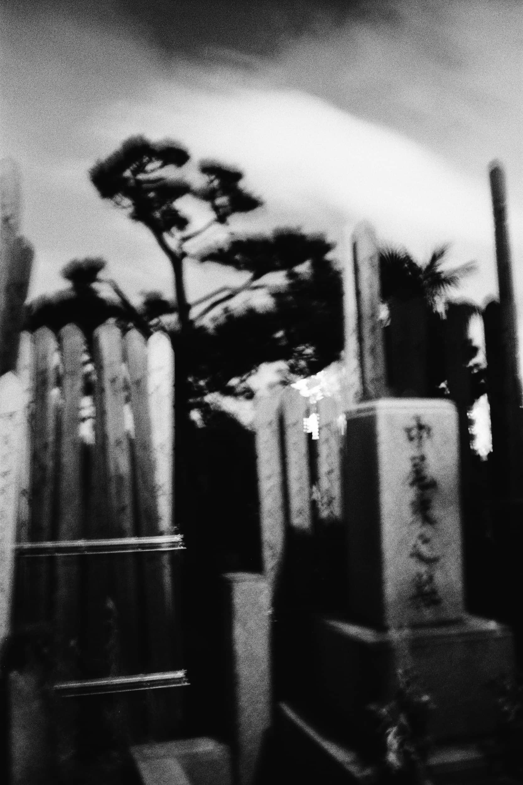 29_04_2024_0042-2